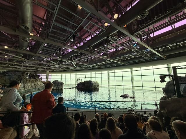 Dolphin show auditorium